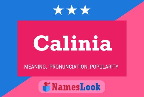 Póster del nombre Calinia