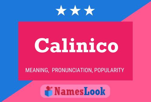 Póster del nombre Calinico