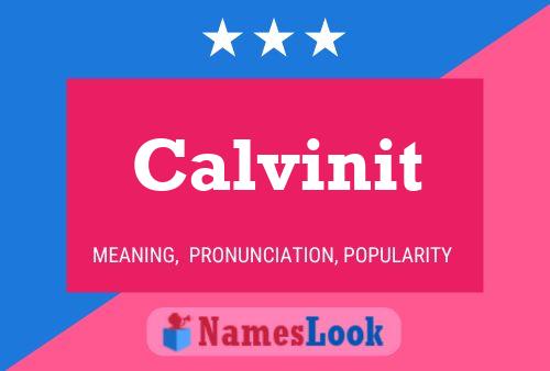 Póster del nombre Calvinit