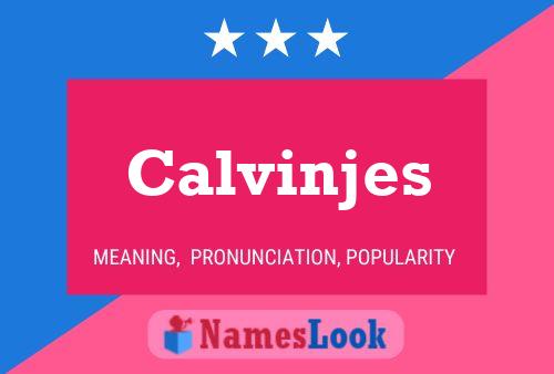 Póster del nombre Calvinjes