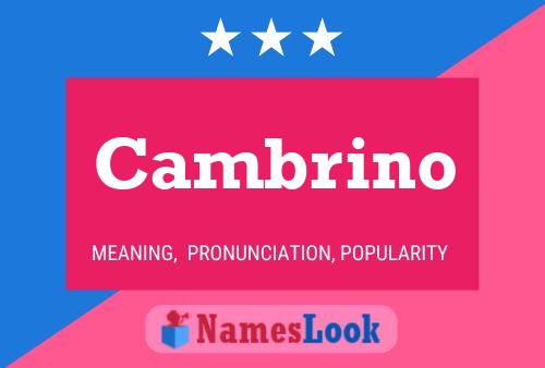 Póster del nombre Cambrino