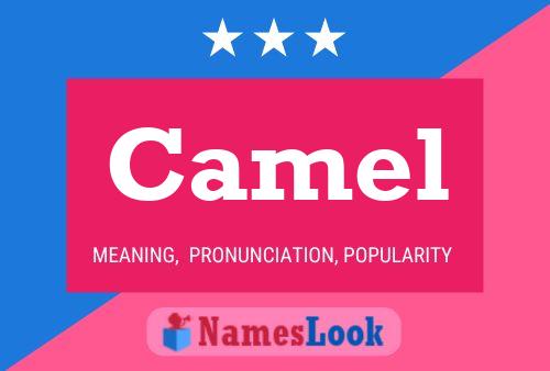 Póster del nombre Camel