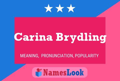 Póster del nombre Carina Brydling