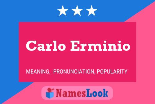 Póster del nombre Carlo Erminio