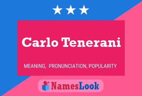 Póster del nombre Carlo Tenerani