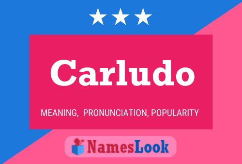 Póster del nombre Carludo