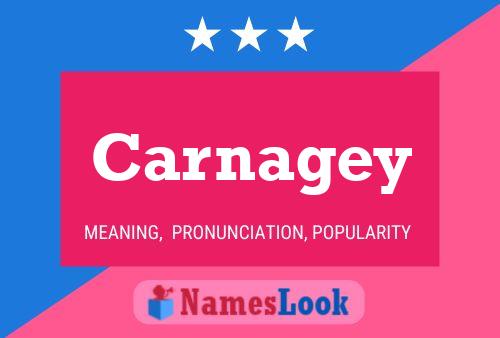 Póster del nombre Carnagey