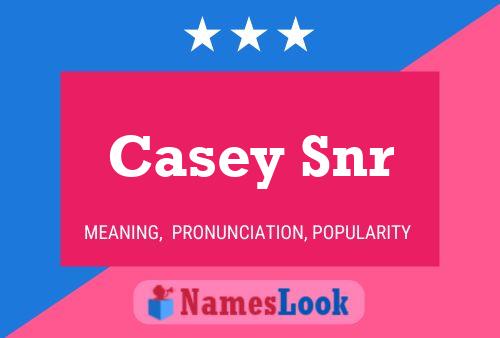 Póster del nombre Casey Snr