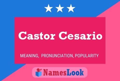 Póster del nombre Castor Cesario