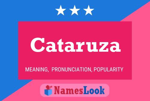 Póster del nombre Cataruza