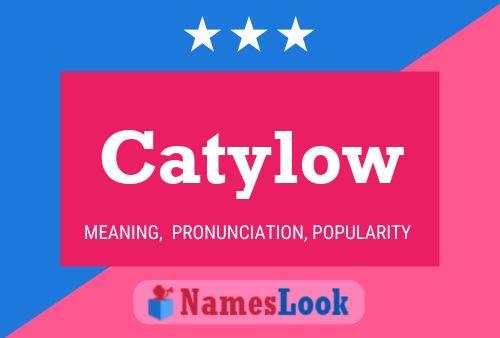 Póster del nombre Catylow