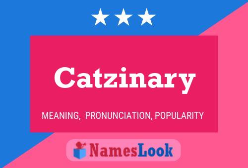 Póster del nombre Catzinary