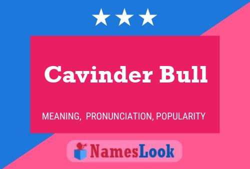 Póster del nombre Cavinder Bull