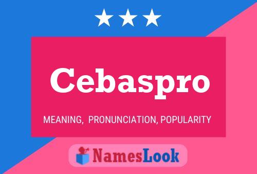 Póster del nombre Cebaspro