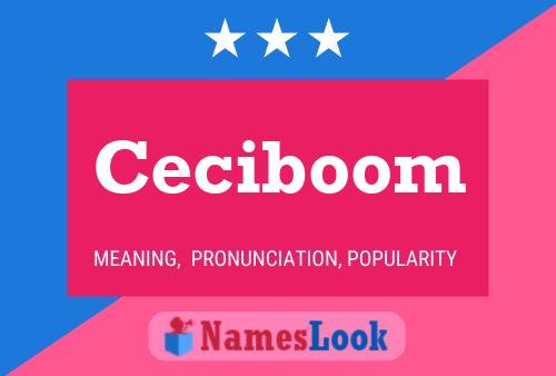 Póster del nombre Ceciboom