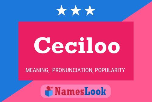 Póster del nombre Ceciloo