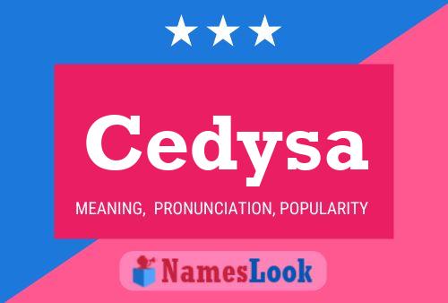 Póster del nombre Cedysa