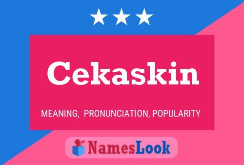 Póster del nombre Cekaskin