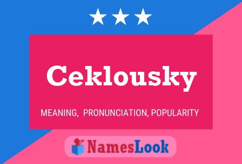 Póster del nombre Ceklousky