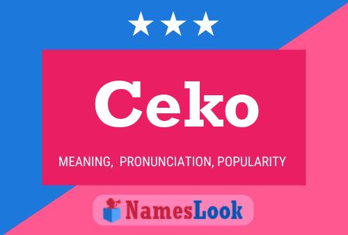 Póster del nombre Ceko