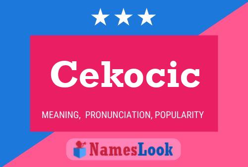 Póster del nombre Cekocic