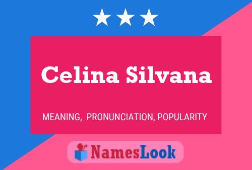 Póster del nombre Celina Silvana