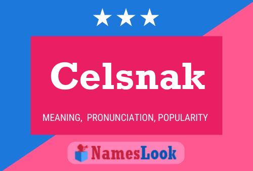 Póster del nombre Celsnak