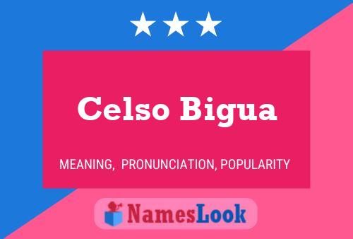 Póster del nombre Celso Bigua