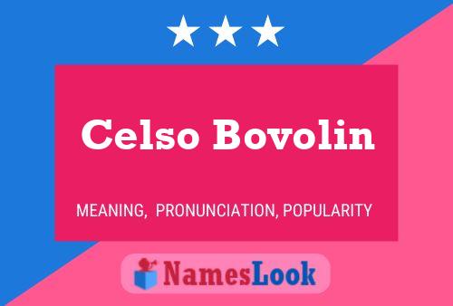 Póster del nombre Celso Bovolin