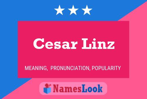 Póster del nombre Cesar Linz