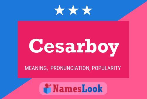 Póster del nombre Cesarboy