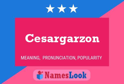 Póster del nombre Cesargarzon