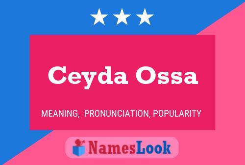 Póster del nombre Ceyda Ossa