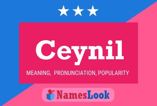 Póster del nombre Ceynil