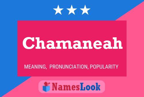 Póster del nombre Chamaneah