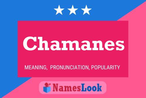 Póster del nombre Chamanes