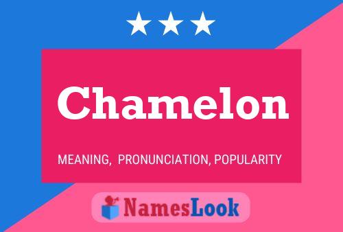 Póster del nombre Chamelon