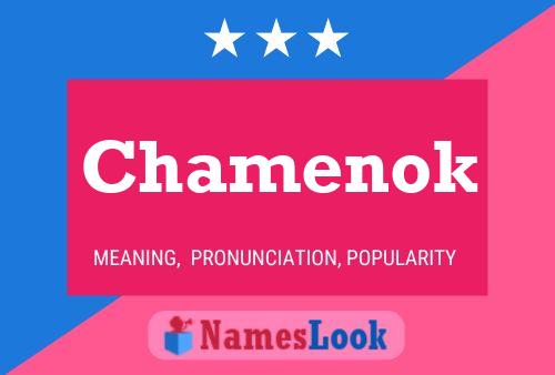 Póster del nombre Chamenok