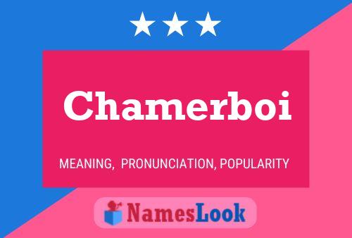 Póster del nombre Chamerboi