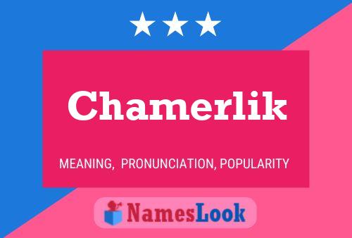 Póster del nombre Chamerlik