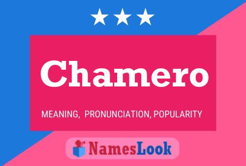 Póster del nombre Chamero