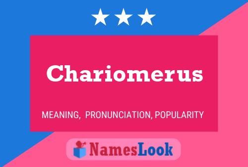 Póster del nombre Chariomerus