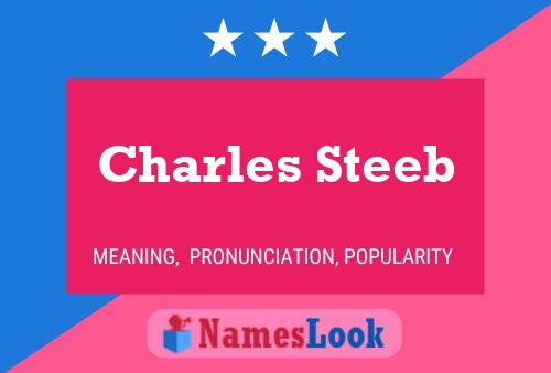 Póster del nombre Charles Steeb