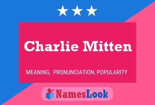 Póster del nombre Charlie Mitten