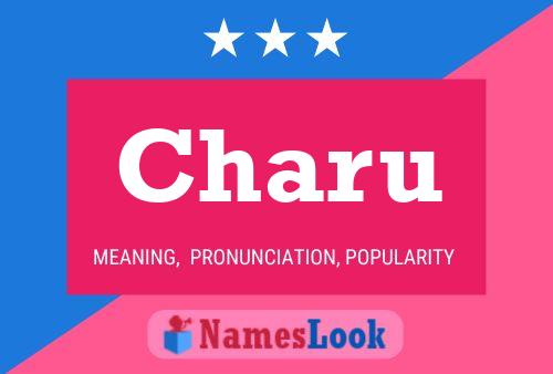 Póster del nombre Charu