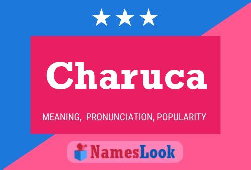 Póster del nombre Charuca