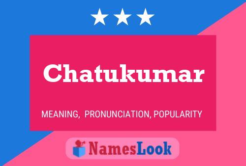 Póster del nombre Chatukumar