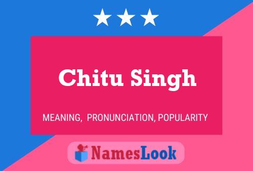 Póster del nombre Chitu Singh