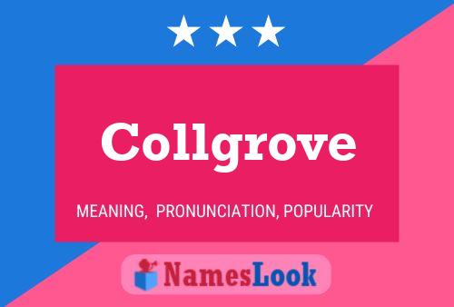 Póster del nombre Collgrove