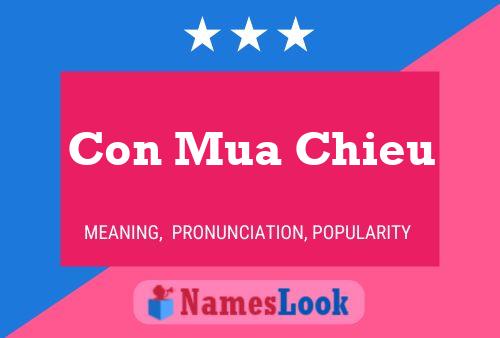 Póster del nombre Con Mua Chieu